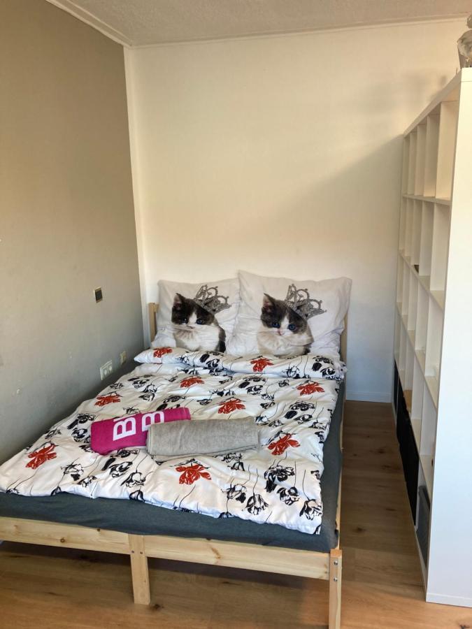 Privatzimmer In Muenchen Zentrum Eksteriør billede